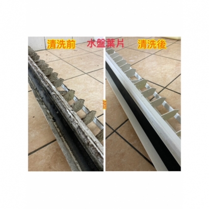 S__26599451.jpg
